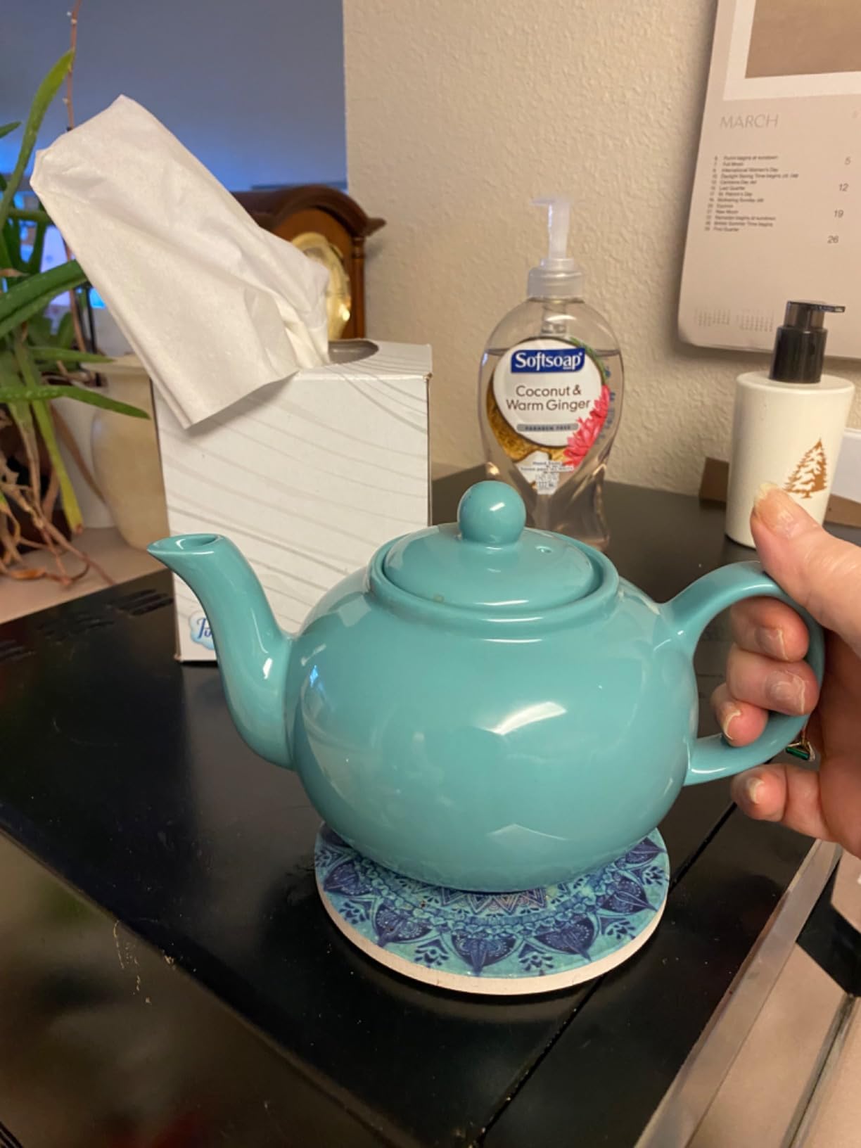 RSVP International Stoneware Teapot Collection, Microwave and Dishwasher Safe, 42 oz, Green customer photo 1