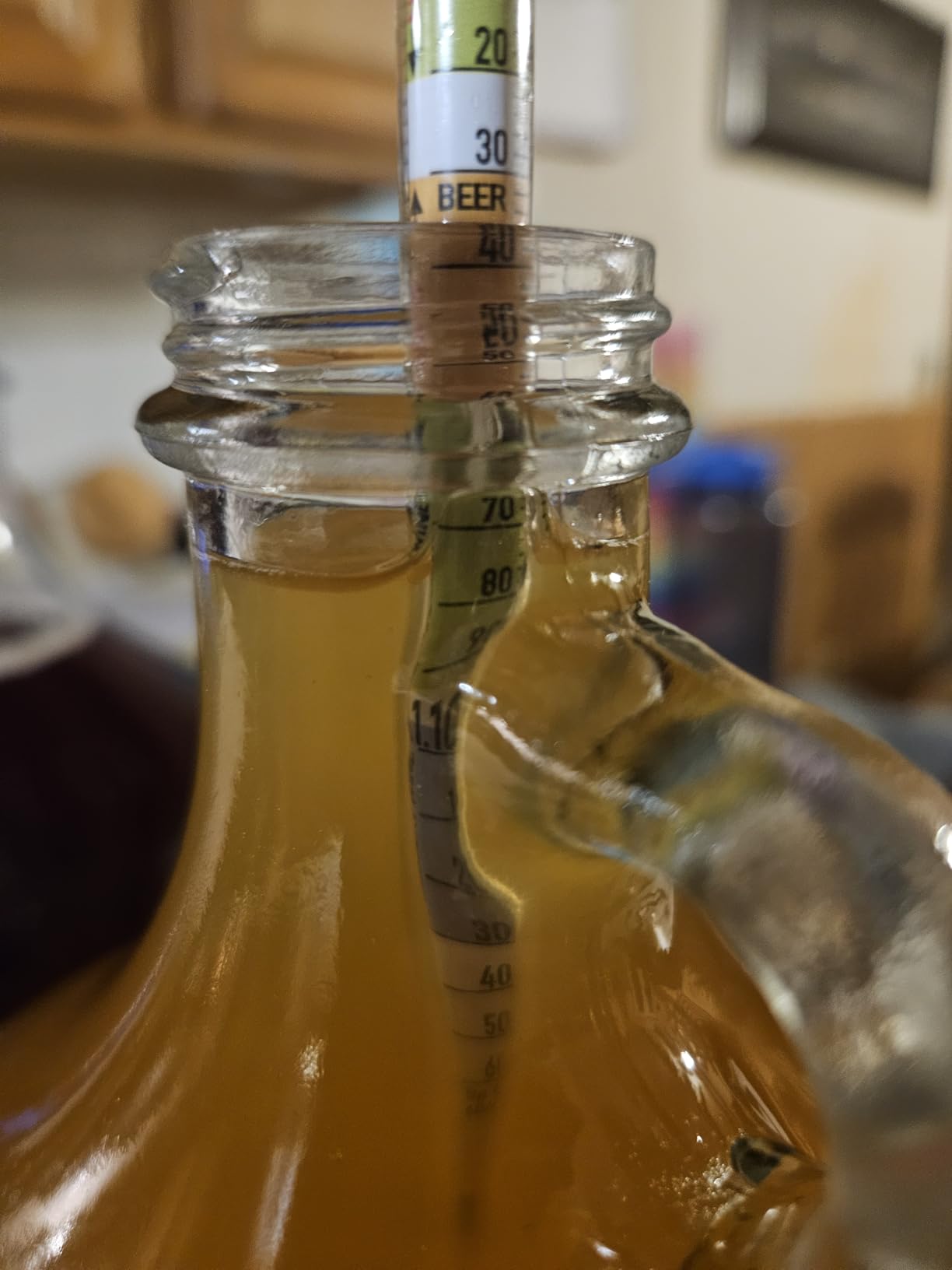 FastRack Triple-Scale Hydrometer - ABV Hydrometer - Specific Gravity Hydrometer to accurately Test ABV and the Specific Gravity of Your Wine, Beer, Mead or Kombucha customer photo 2