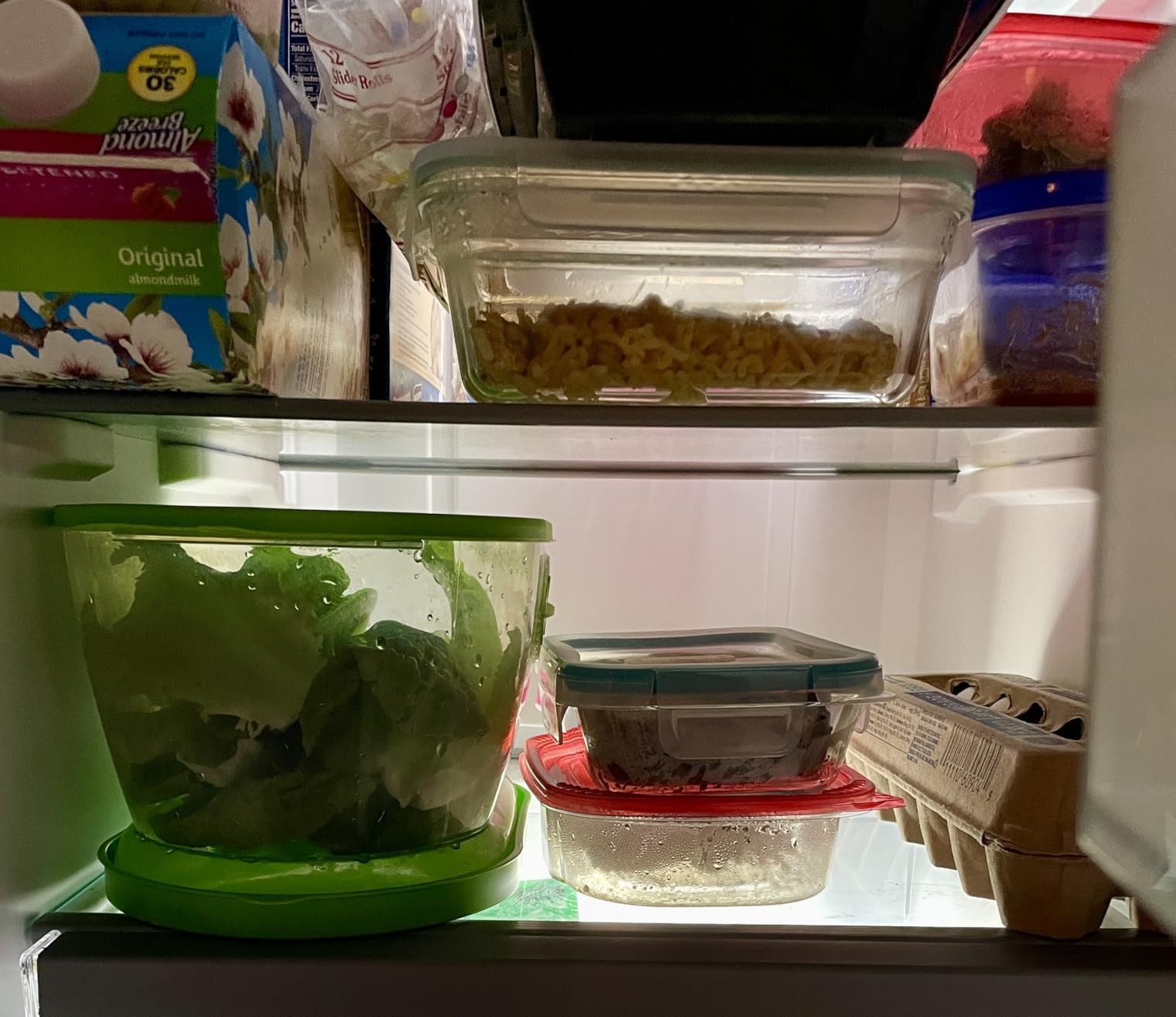 Prep Solutions by Progressive Lettuce Keeper Produce Storage Container, 4.7 Quarts, Green customer photo 1