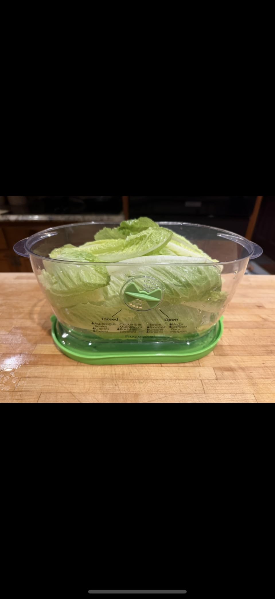 Prep Solutions by Progressive Lettuce Keeper Produce Storage Container, 4.7 Quarts, Green customer photo 2