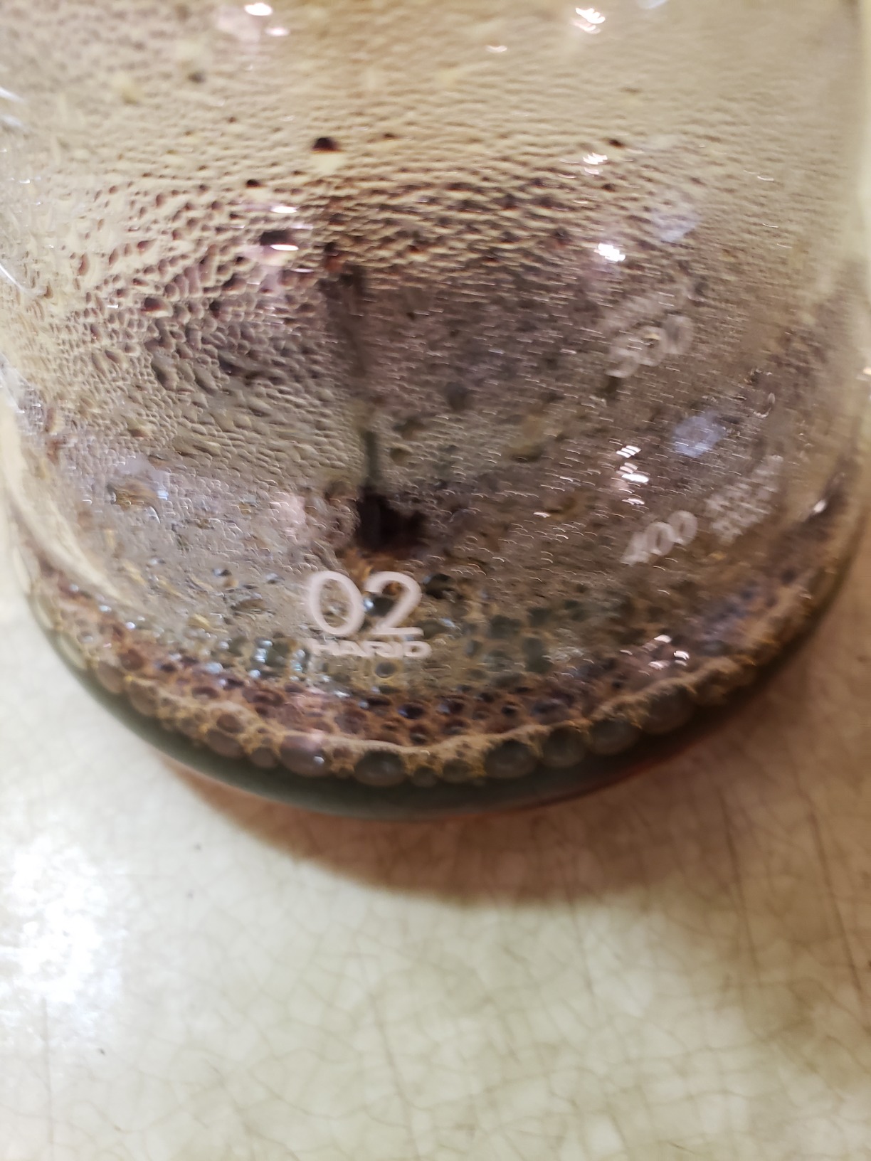 V60 Range Server Clear 600 Ml customer photo 2