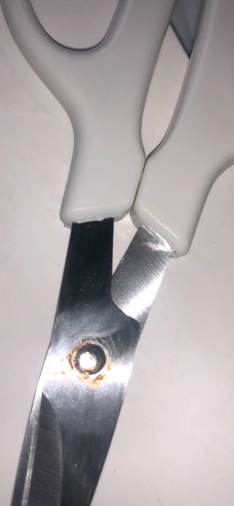 Norpro Shanghai Crab/Lobster Scissors, 6in/15cm customer photo 1