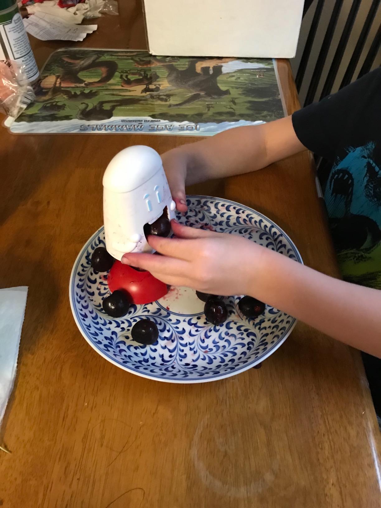 Talisman Designs Cherry Pitter | Family Friendly Kitchen Tools | Fun & Functional Cherry Chomper | Olive & Cherry Seed Picker for Kids | Gift Item customer photo 1