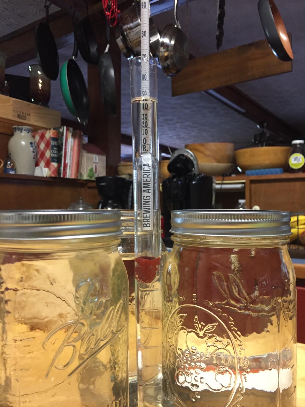 USA-Made Alcohol Hydrometer Tester 0-200 Proof & Tralle Pro Series Traceable - Distilling Moonshine Alcoholmeter for Proofing Distilled Spirits customer photo 1