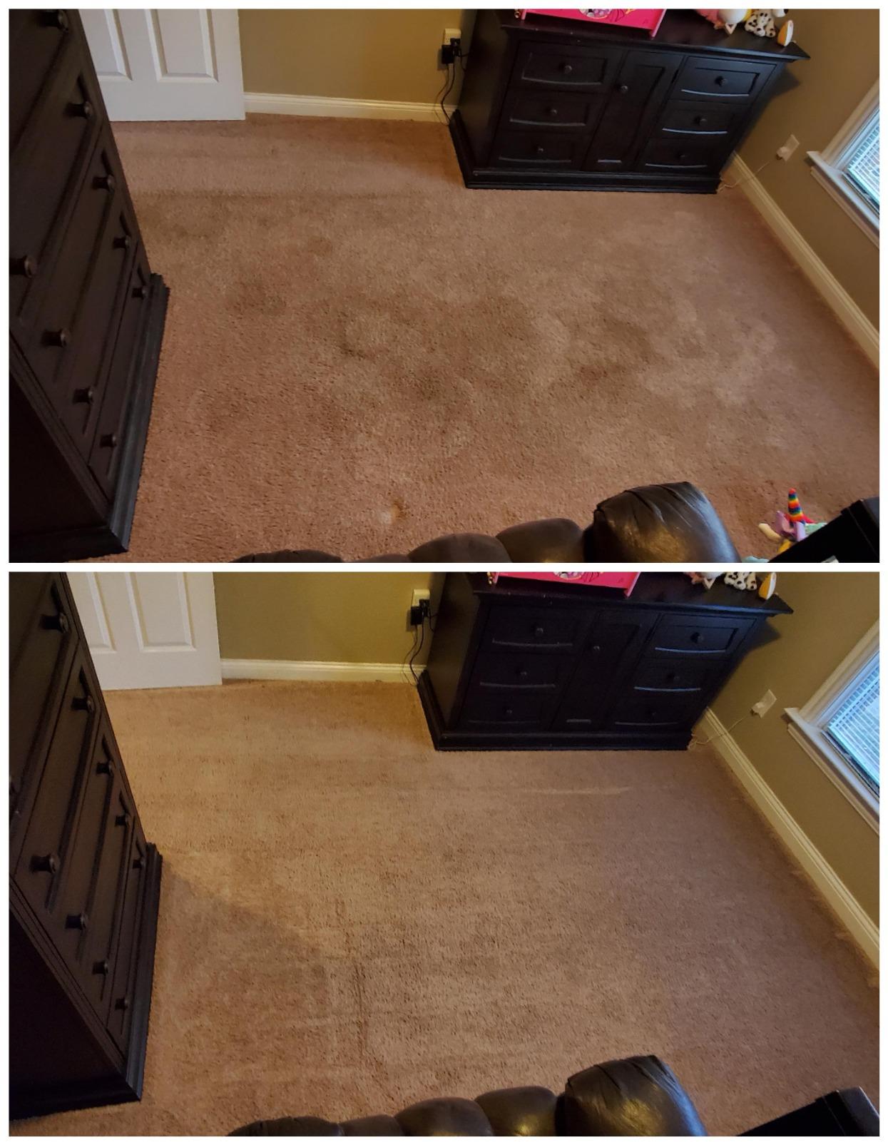 BISSELL Big Green Professional Carpet Cleaner with XL DirtLifter PowerBrush, 9-inch Long Reach Hose, 6-inch Tough Stain Tool, Includes BISSELL PRO MAX Formula with Stain Protect customer photo 1