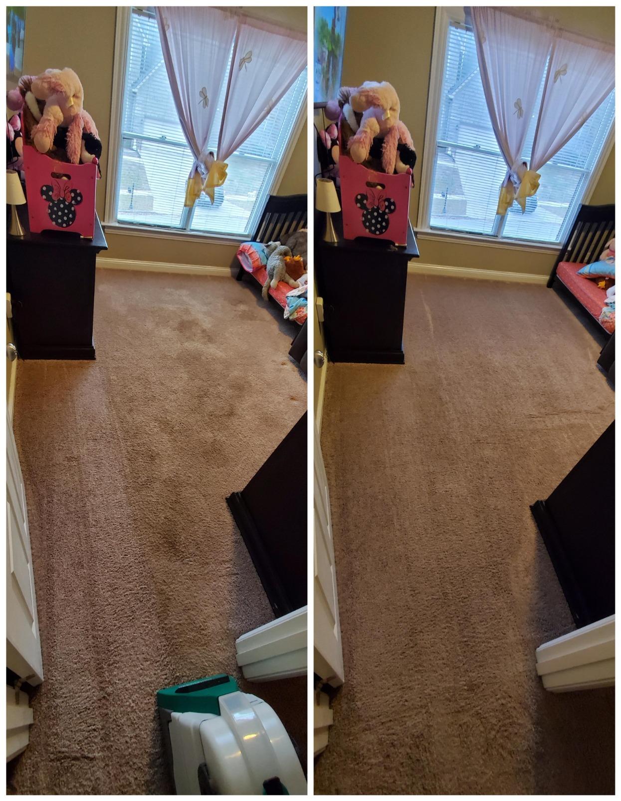BISSELL Big Green Professional Carpet Cleaner with XL DirtLifter PowerBrush, 9-inch Long Reach Hose, 6-inch Tough Stain Tool, Includes BISSELL PRO MAX Formula with Stain Protect customer photo 2