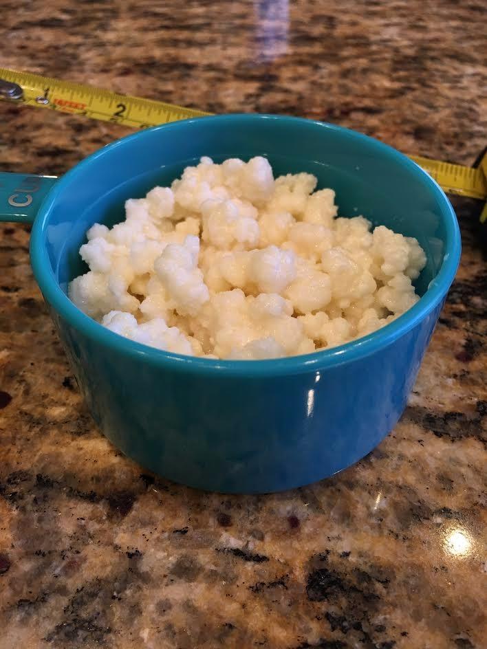 2 TBSP Milk Kefir Grains and ebook 