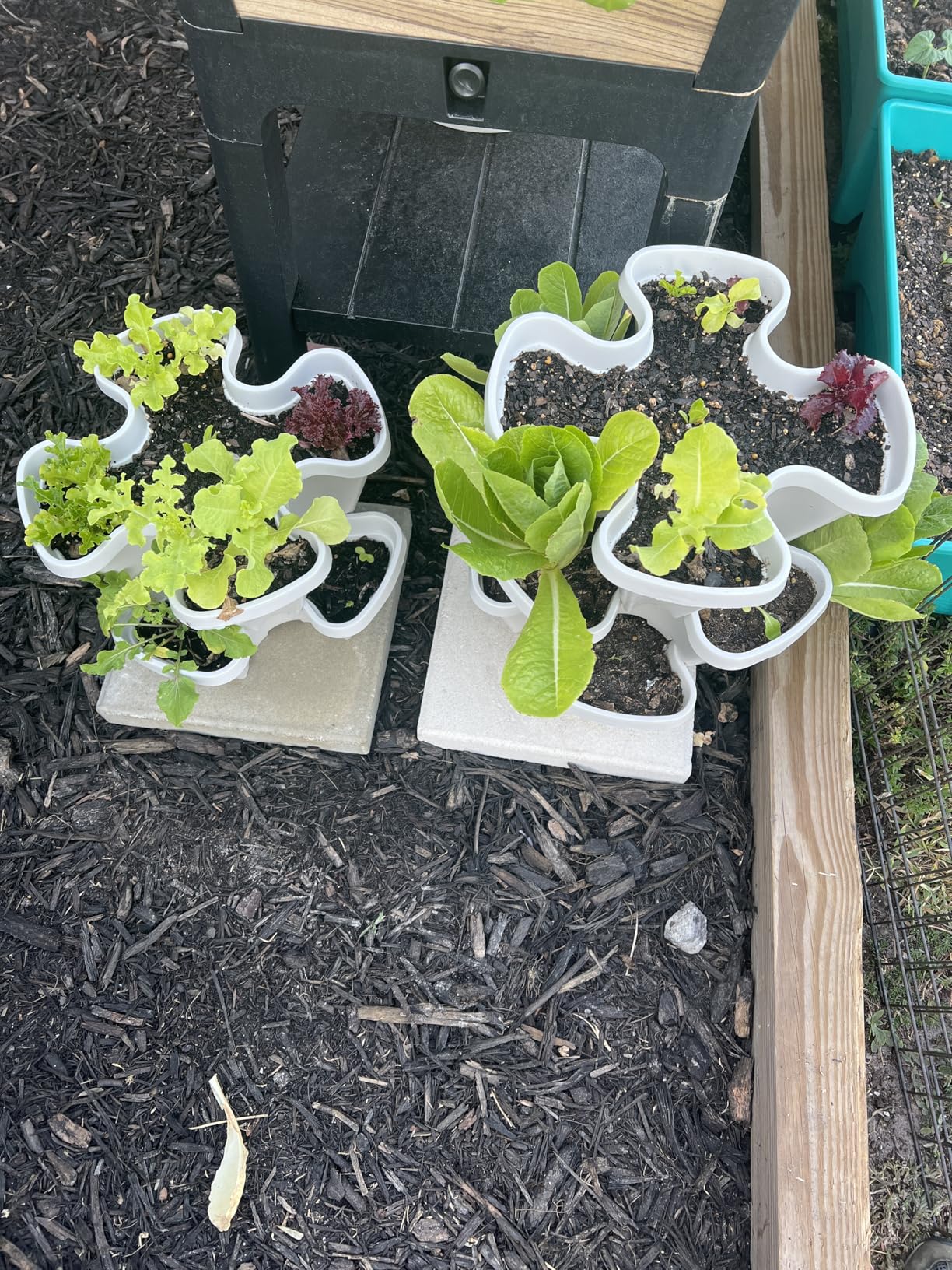 Mr. Stacky 1305-HG 5-Tier Stackable Strawberry, Herb, Flower & Vegetable Planter (Hunter Green) customer photo 2