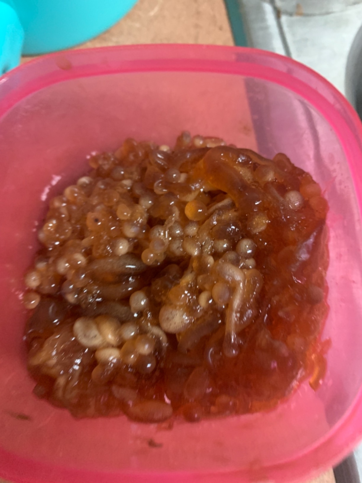 Spherification Kit [Molecular Gastronomy] - Non-GMO Vegan OU Kosher Certified Ingredients, 5.29 Ounce customer photo 1