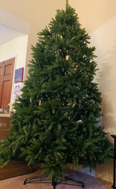 National Tree Company 7 ft Unlit Dunhill Fir Full Artificial Christmas Tree, 2,144 Tips, Includes Stand, Green customer photo 1