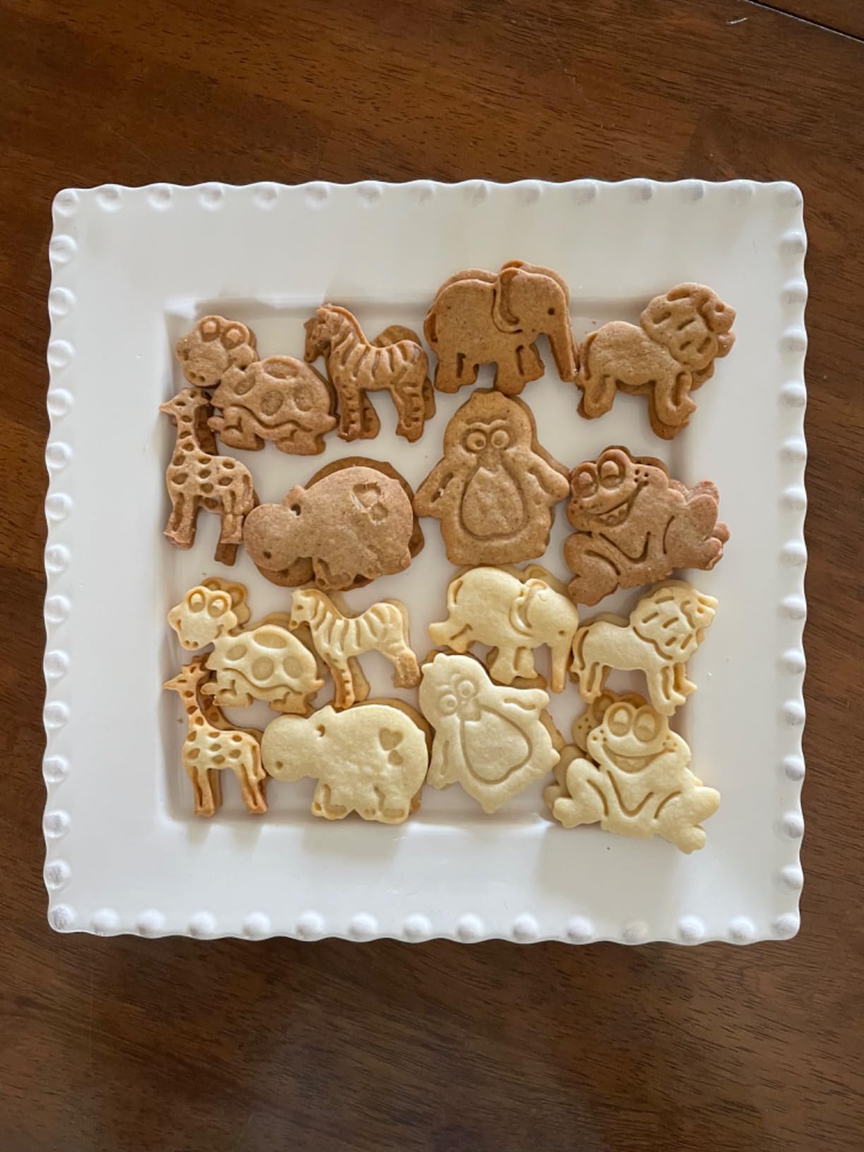 R&M Animal Cookie Stamper, Zoo Animal, Giraffe, Zebra, Lion, Elephant, Turtle, Hippo, Penguin, Frog, 2 Inch, 8 Piece Set customer photo 1