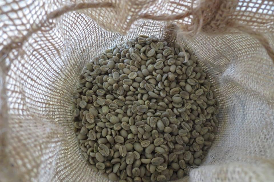 5-Pound Colombia Supremo, Unroasted Green Arabica Coffee Beans, Fresh Current Crop Specialty Grade, Roast the Beans Yourself at Home on Your Roasting Equipment Prior to Using for Brewing Coffee customer photo 2