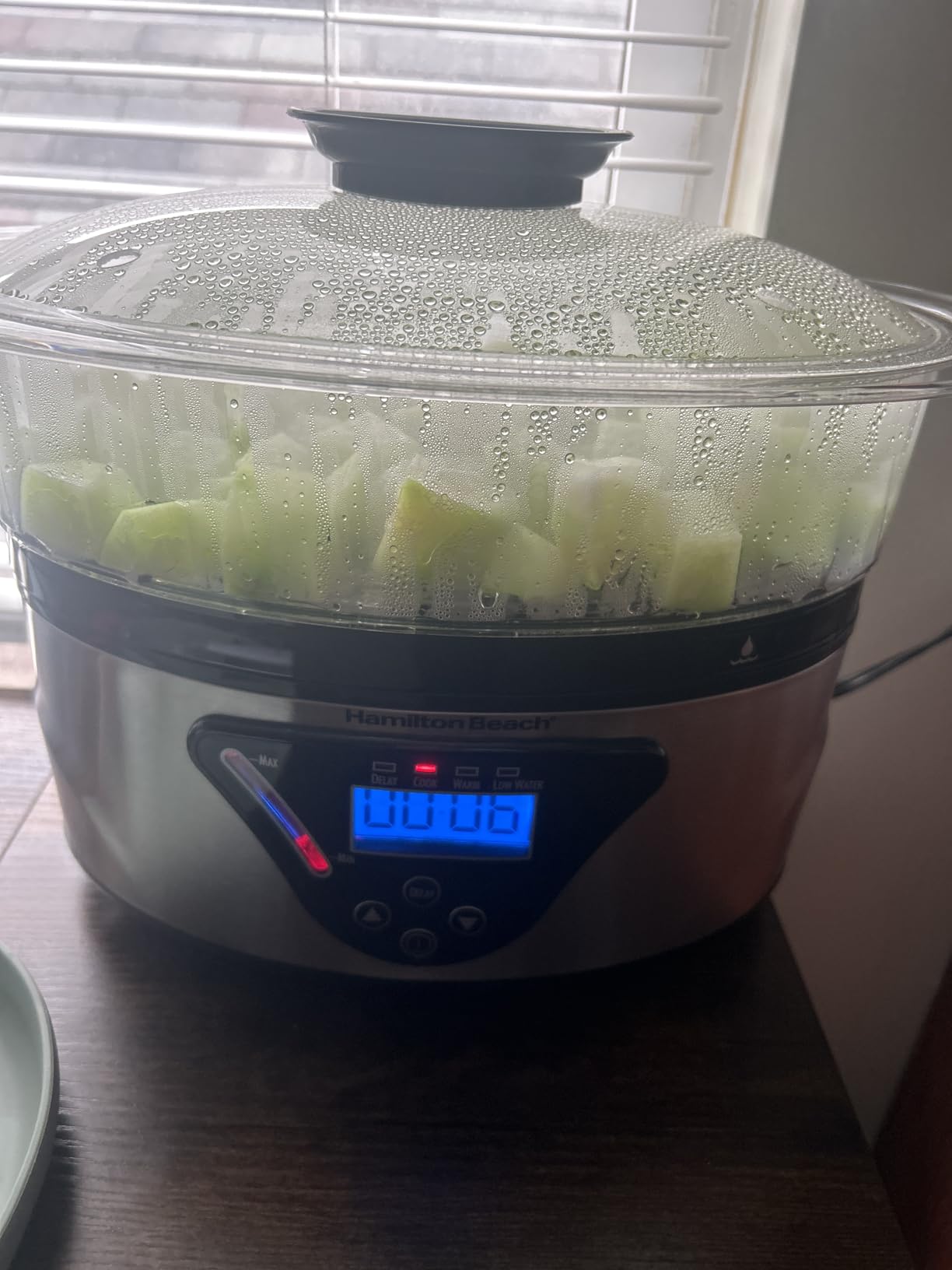 Hamilton Beach Digital Electric Food Steamer & Rice Cooker for Quick, Healthy Cooking for Vegetables and Seafood, Stackable Two-Tier Bowls, 5.5 Quart, Black & Stainless Steel customer photo 1