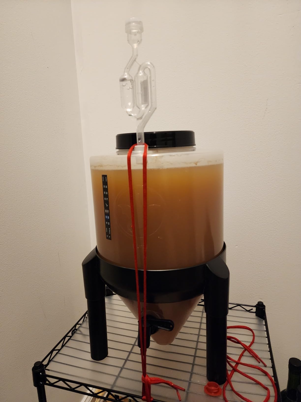 BrewDemon Conical Fermenting System - NO AIRLOCK OR Siphon Required - Made of BPA Free Food Grade Plastic That imparts Zero unwanted Flavors into Your Brew! customer photo 1