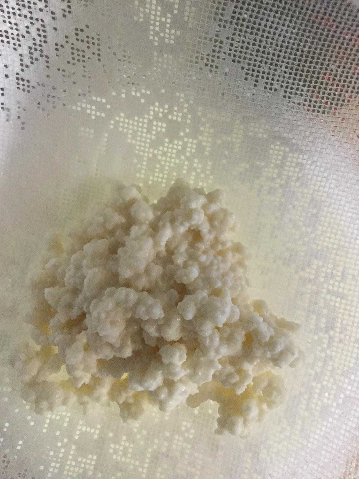 Milk Kefir Grains Mr & Mrs Kefir Active Fresh Genuine Natural customer photo 2