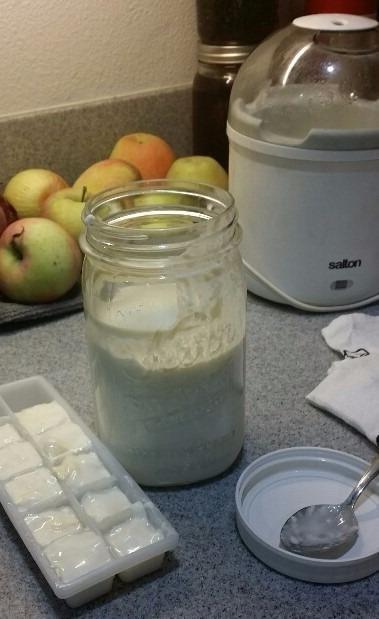 Cultures for Health Kefir Starter Culture | 4 Packets Freeze Dried Starter Powder | Make Kefir with Milk, Water, or Juice | Re-Culture Kefir Probiotic Drinks 2-7x Each | Cultures in Less Than a Day customer photo 2