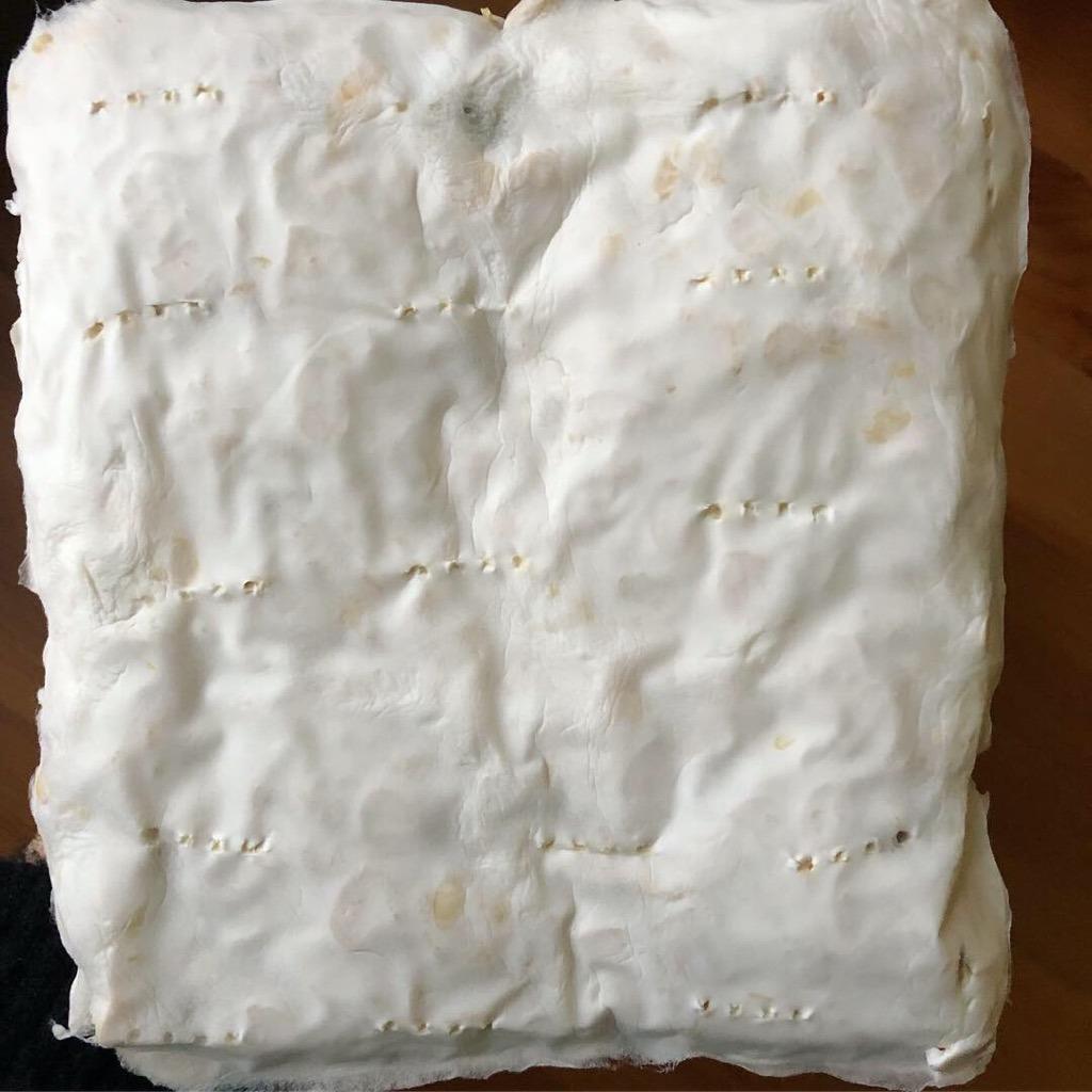 Cultures for Health Tempeh Starter Culture | 4 Packets Starter Spores for DIY Plant Based Meat | Gluten Free, Non-GMO Indonesian Food customer photo 1