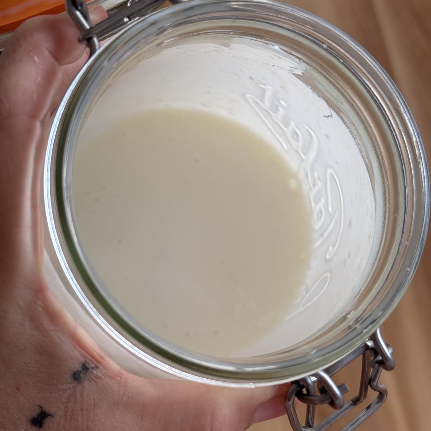 Lifetime Kefir Milk Kefir Grains customer photo 2