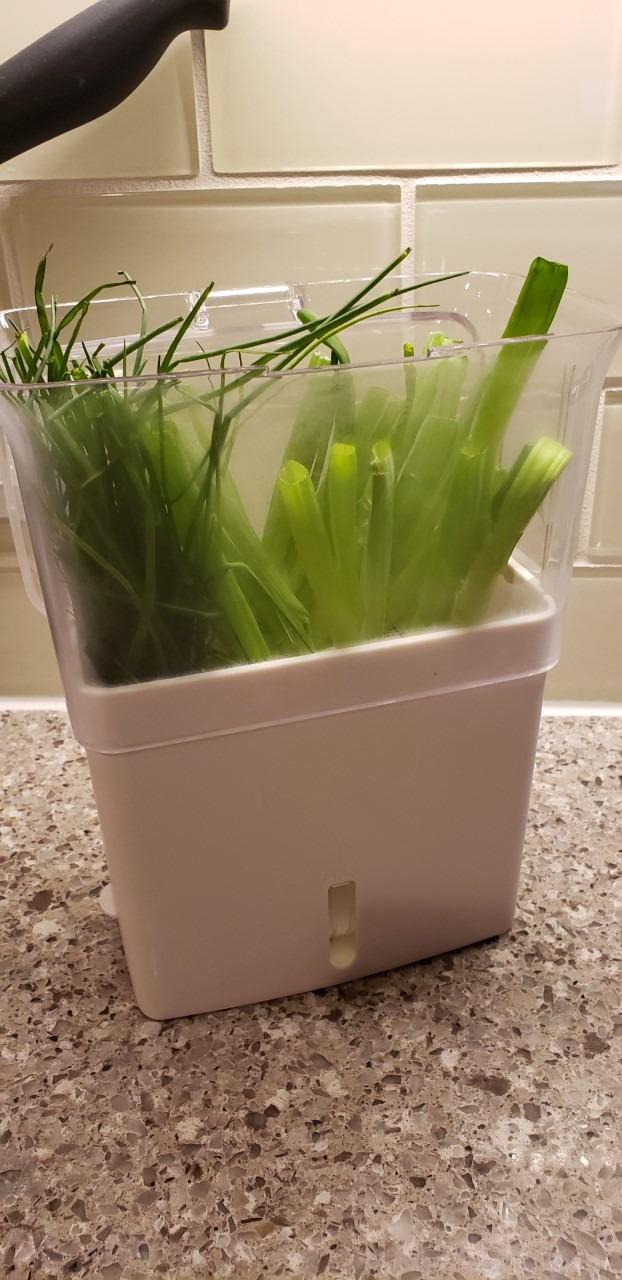 Cole & Mason Fresh Herb Keeper - Acrylic Storage Container for Refrigerator - Storage for Herbs & Vegetables for Fridge - Fresh Herb Keeper customer photo 2