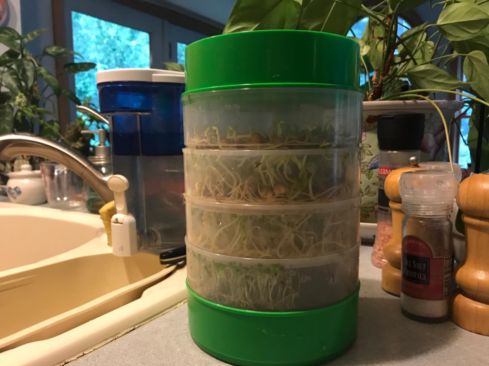 KITCHEN CROP Deluxe Seed Sprouter with 4 Growing Trays and 1 Seed Packets, (Alfalfa Seeds) Easily Grow Sprouts Indoors for a Healthy Lifestyle customer photo 2