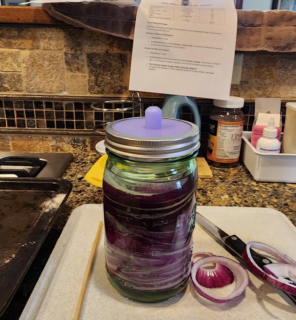 Masontops Pickle Pipes - Airlock Fermentation Lids - Fermentation Kit for Small Mouth Mason Jar Sauerkraut & Pickle Kit Fermentation Jar not Included customer photo 1