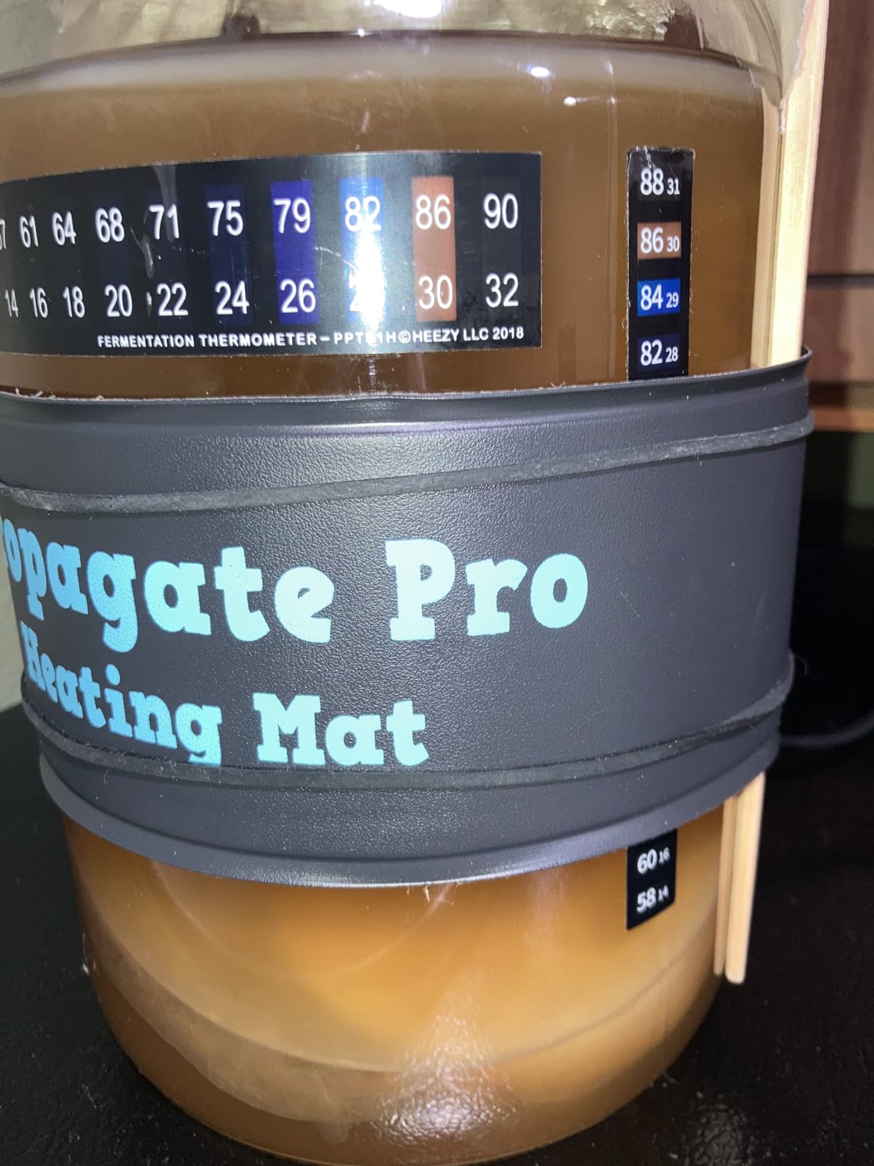 Wrap Around Kombucha Heater Belt | Propagate Pro Brewing and Fermentation Heat Mat Warmer | Keeps Your SCOBY Happy and Productive with Stickon Thermometer customer photo 2