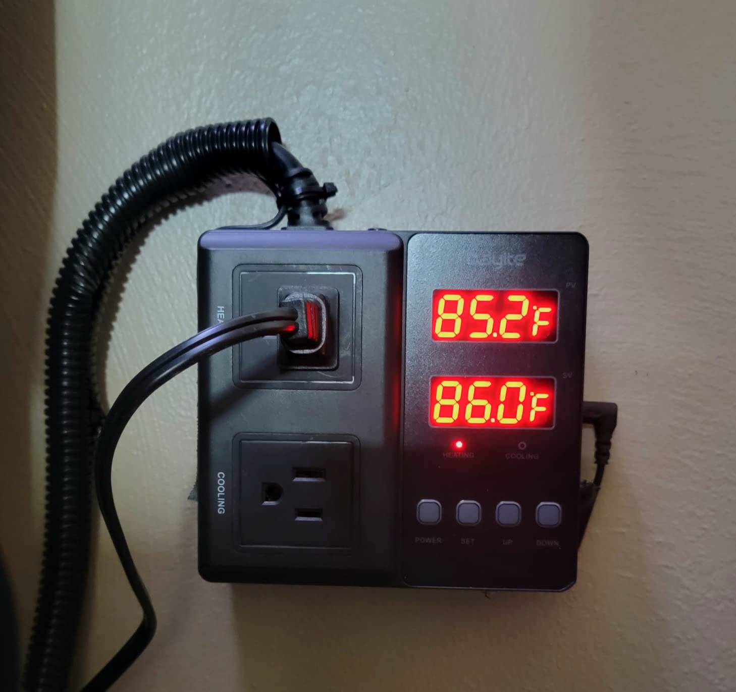 bayite Temperature Controller 1650W 15A BTC211 Dual Digital Outlet Thermostat Plug, Pre-Wired, 2 Stage Heating and Cooling Mode, 110V - 240V, Fermentation BBQ Reptile Aquarium customer photo 1