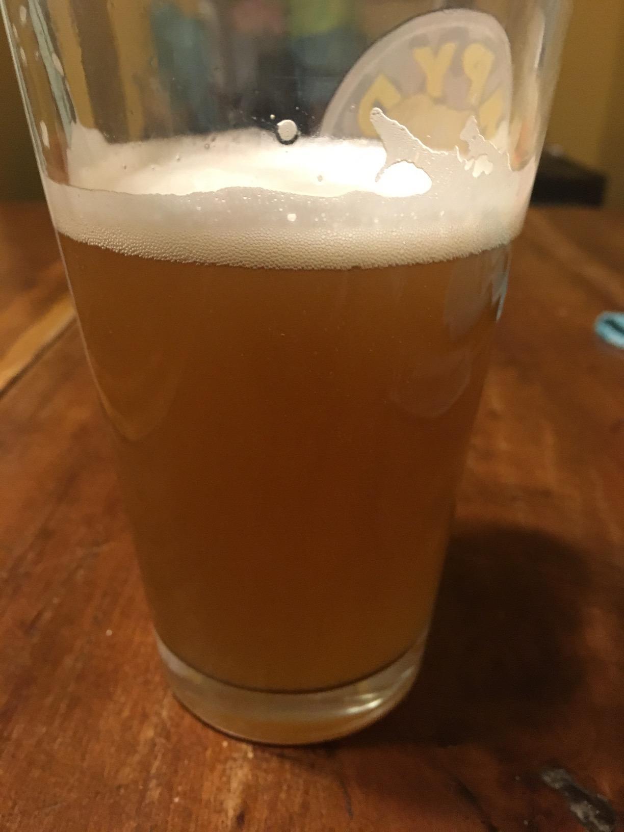 Brewer's Best One Gallon Home Brew Beer Ingredient Kit (Kolsch) customer photo 1