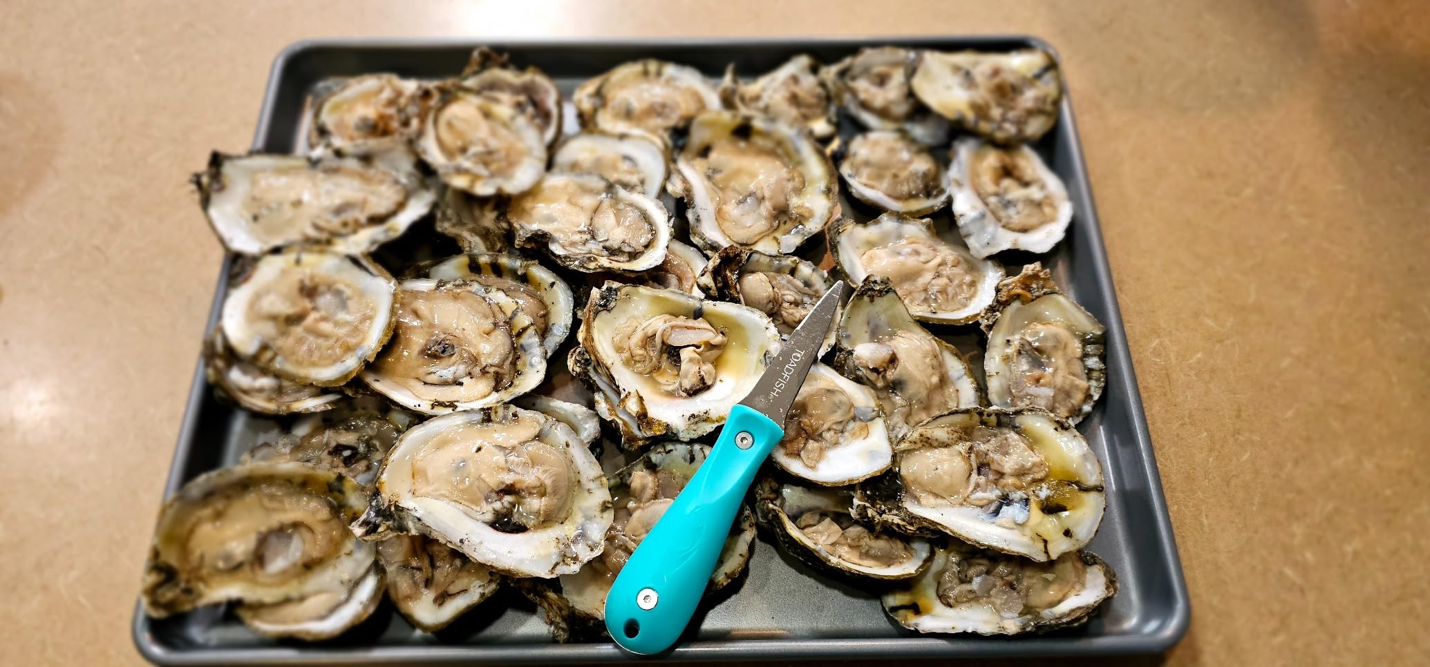 Toadfish Oyster Shucking Knife, Oyster Opener Tool, Oyster Knife customer photo 2