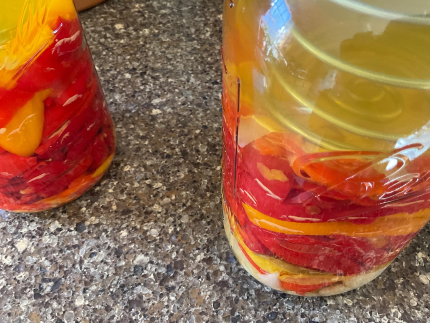 Stainless Steel Fermentation Jar Kit | 3 Waterless Fermenter Airlock Lids & 3 Pickle Helix Fermentation Weights customer photo 1