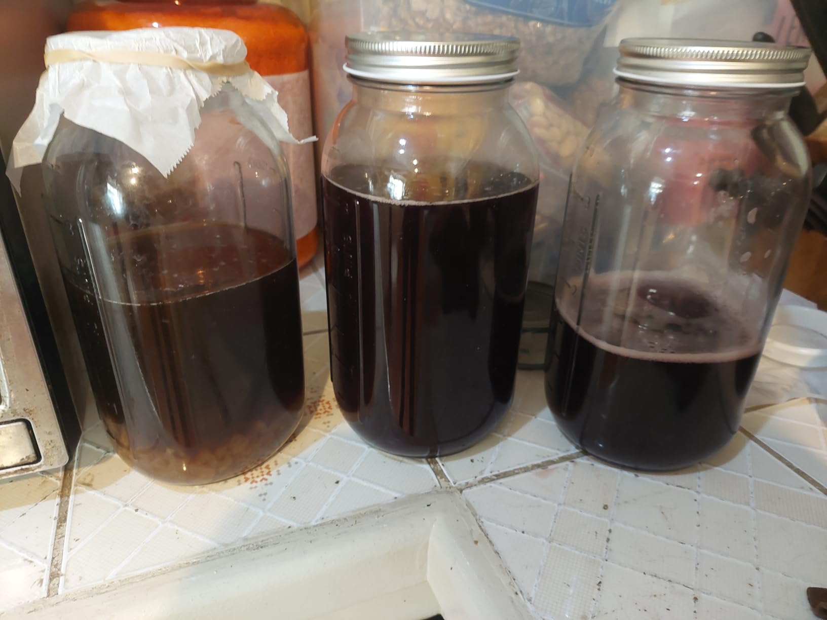 Yemoos Dried Authentic Water Kefir Grains customer photo 2