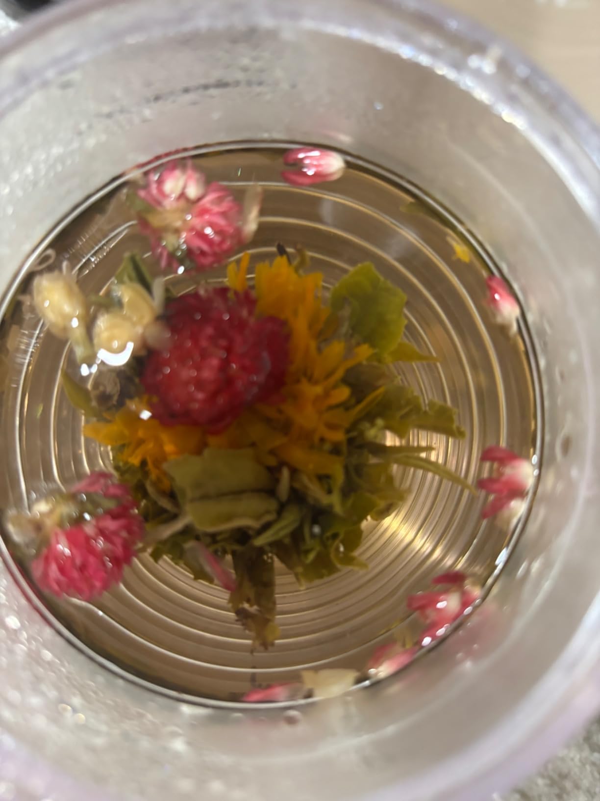 Teabloom Jasmine Flowering Tea - Hand Tied Green Tea Leaves + Jasmine Blossoms Flowering Tea Creations - Blooming Tea Gift Set - 12-Pack, 36 Steeps, Makes 250 Cups customer photo 2