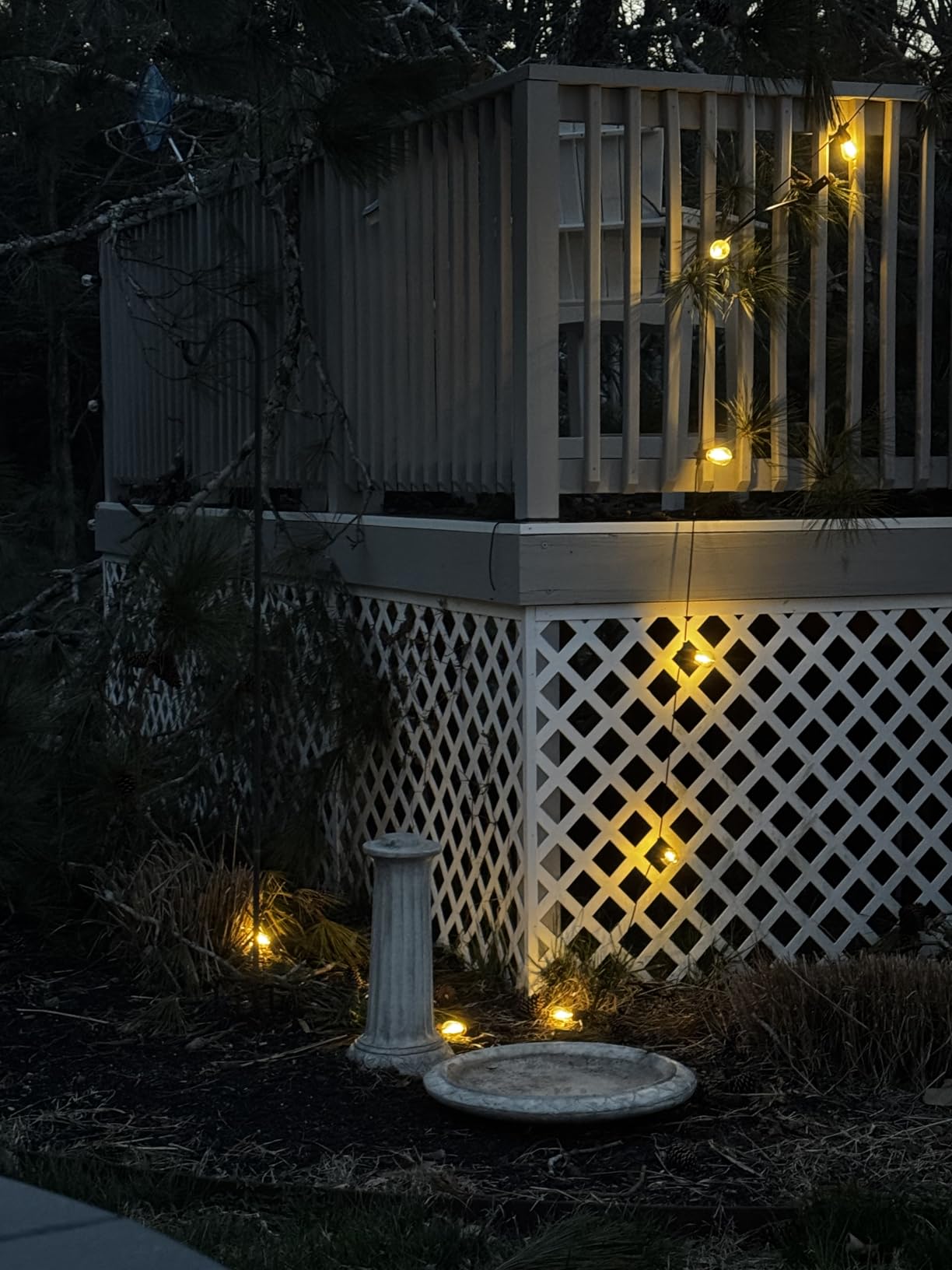 Brightech Ambience Pro Solar Powered Outdoor String Lights - 27 ft Commercial Grade Waterproof Edison Patio Lights, Shatterproof LED String Lights for Outside, Porch - 12 Bulbs, 1W Soft White customer photo 1
