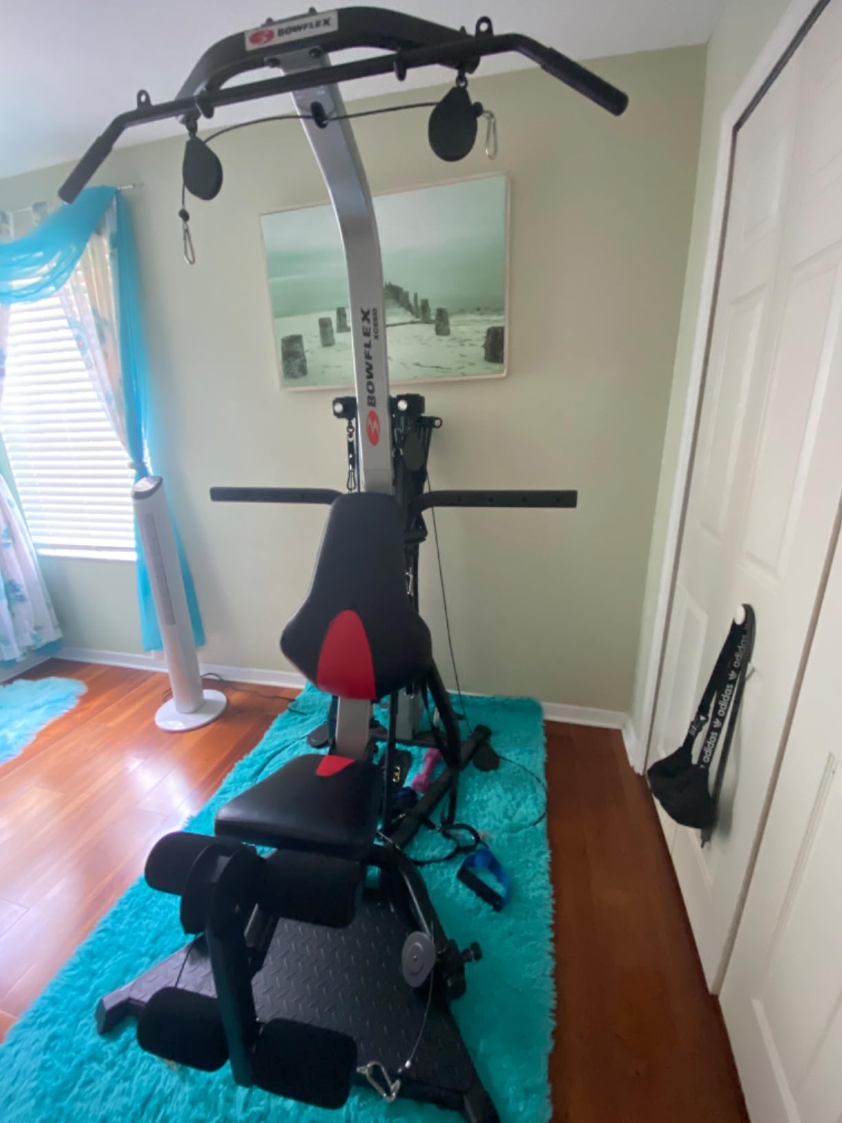 BowFlex PR1000 Home Gym Workout Systems customer photo 2