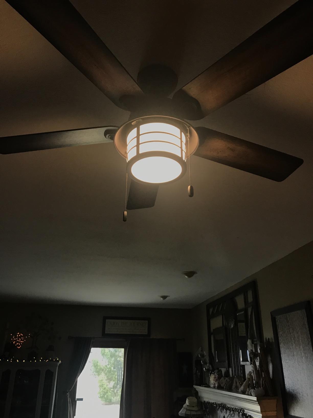Hunter 54 inch Outdoor or Indoor Ceiling Fan with LED Light - Rustic Ceiling Fan with Pull Chain, For Bedroom, Living Room, or Patio, Standard Mount, No Remote - Key Biscayne 59273, Onyx Bengal customer photo 2