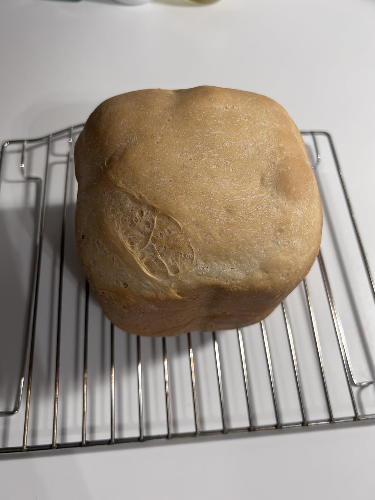 Cuisinart Bread Maker Machine, Stainless Steel Automatic Bread Machine with 12 Menu Options, 3 Loaf Sizes up to 2 Lb., 3 Crust Colors, Removable Nonstick Baking Pan & Kneading Paddle, CBK-110NAS customer photo 2