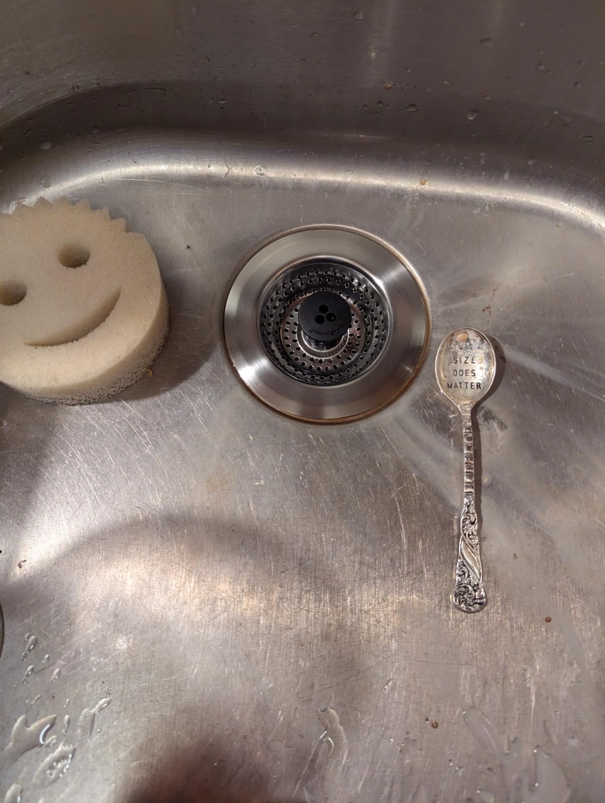 Kitchen SinkShroom Revolutionary Clog-Free Stainless Steel Sink Strainer, Black, 1-(Pack) customer photo 2