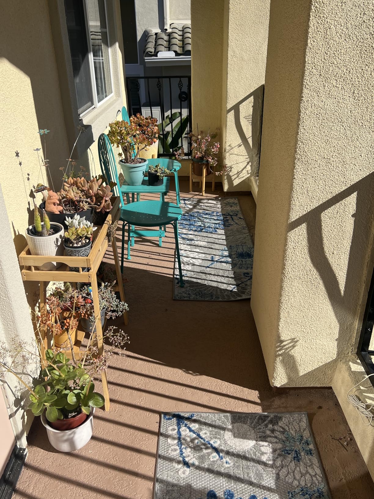 SAFAVIEH Washable Rug Outdoor Cabana Collection - 4' x 6', Cream & Red, Non-Shedding & Easy to Clean, Ideal for Patio, Backyard, Mudroom (CBN832A) customer photo 2