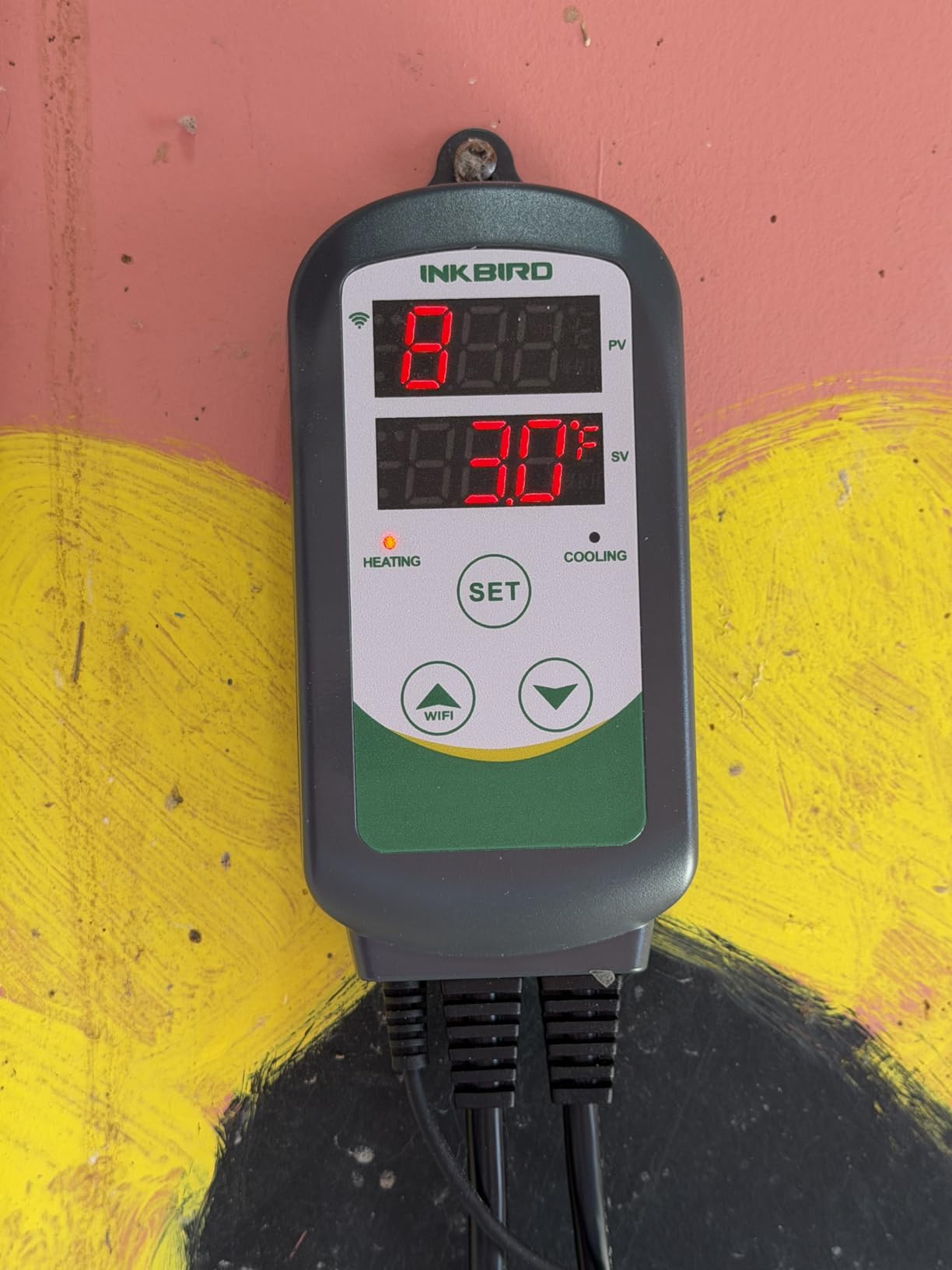 Inkbird WiFi ITC-308 Digital Temperature Controller Thermostat Remote Monitoring Controlling Home Brewing Fermentation Breeding Incubation Greenhouse customer photo 1