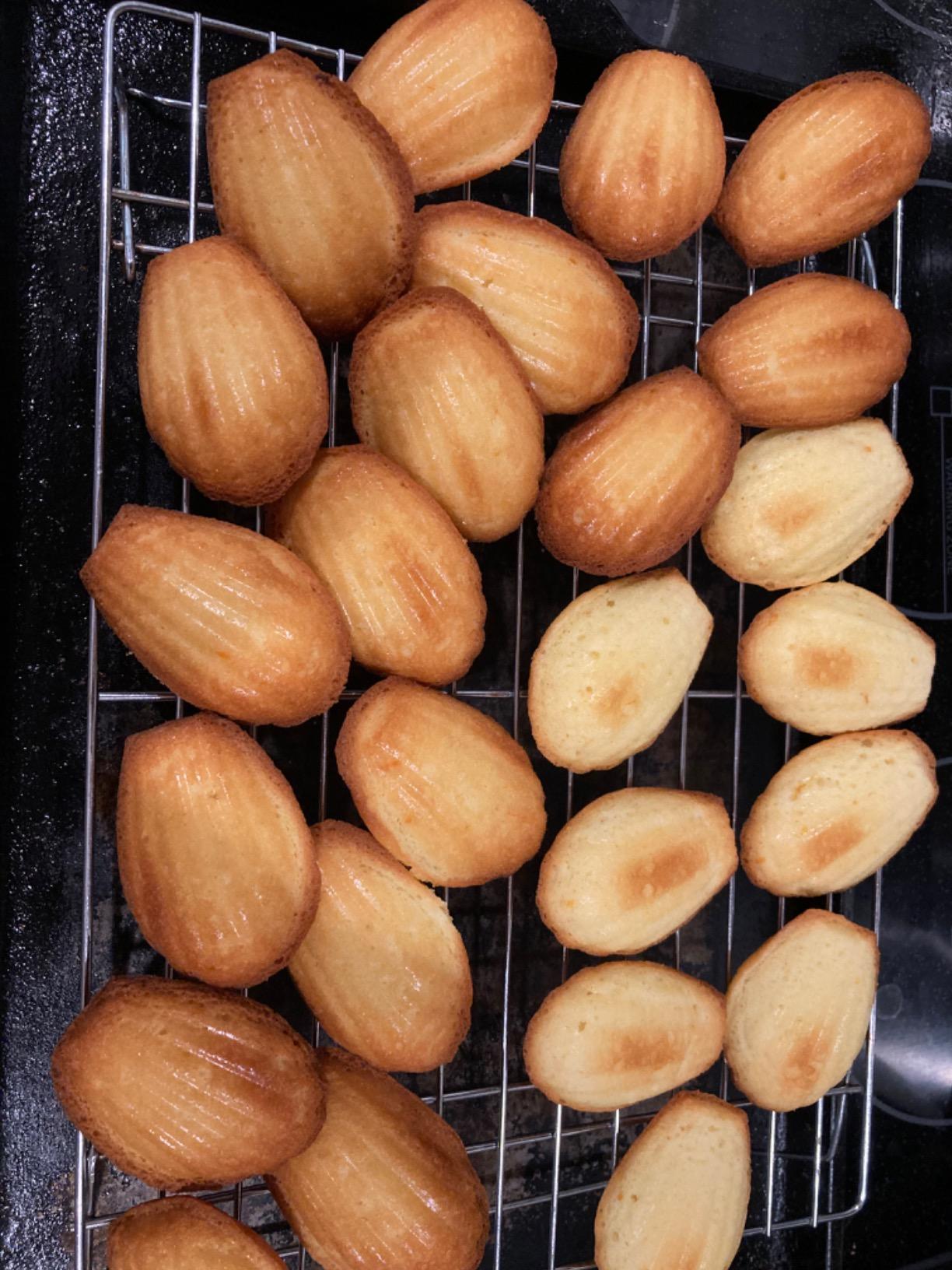 Webake Madeleine Pan 18 Cavity Silicone Madeleine Mold for Small Cake, Candy and Cookies customer photo 2