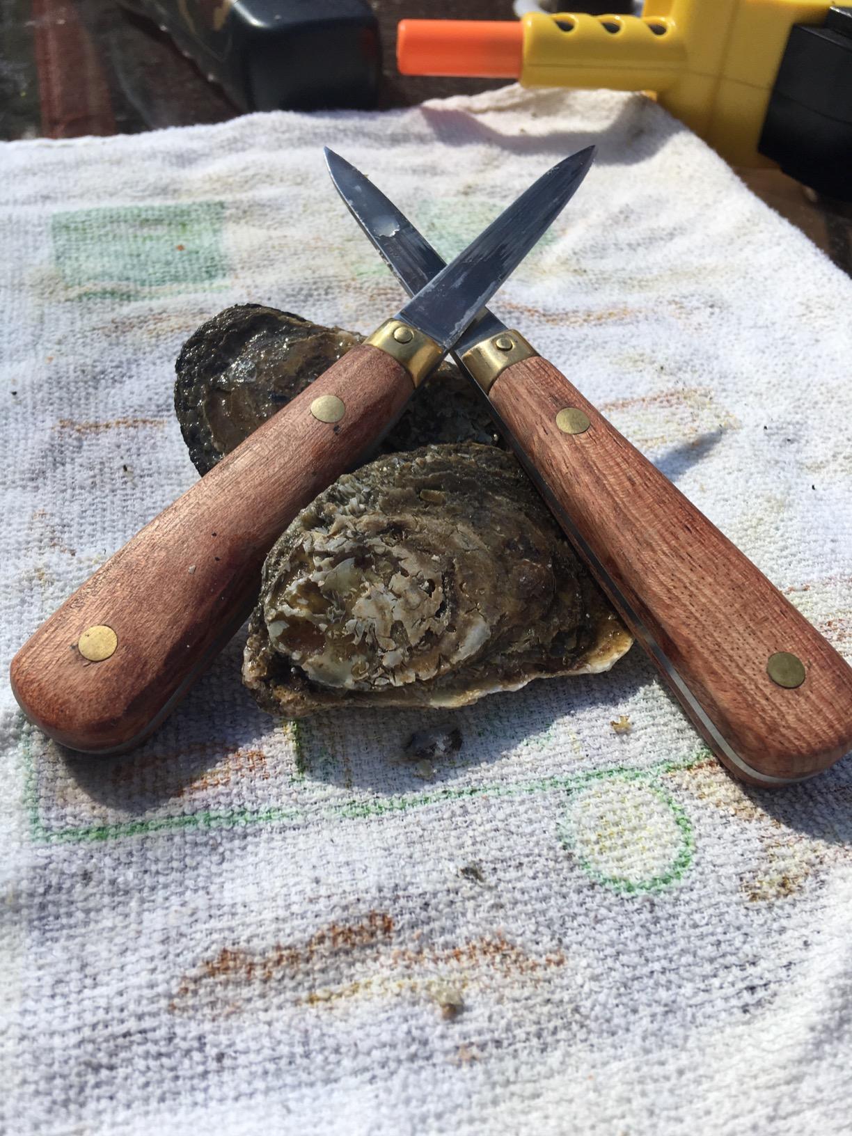 Oyster Shucking Knife,Oyster Knife,SPEENSUN Full Tang Not Easy to Break And Bend,More Secure with Oyster Shucking Glove ( 2Knife And 1Glove M ) customer photo 1