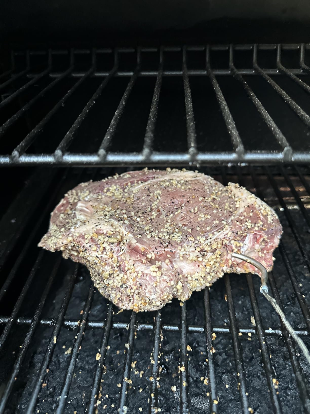Traeger Grills Pro 575 Wood Pellet Grill & Smoker with Wifi, App-Enabled, Bronze customer photo 2