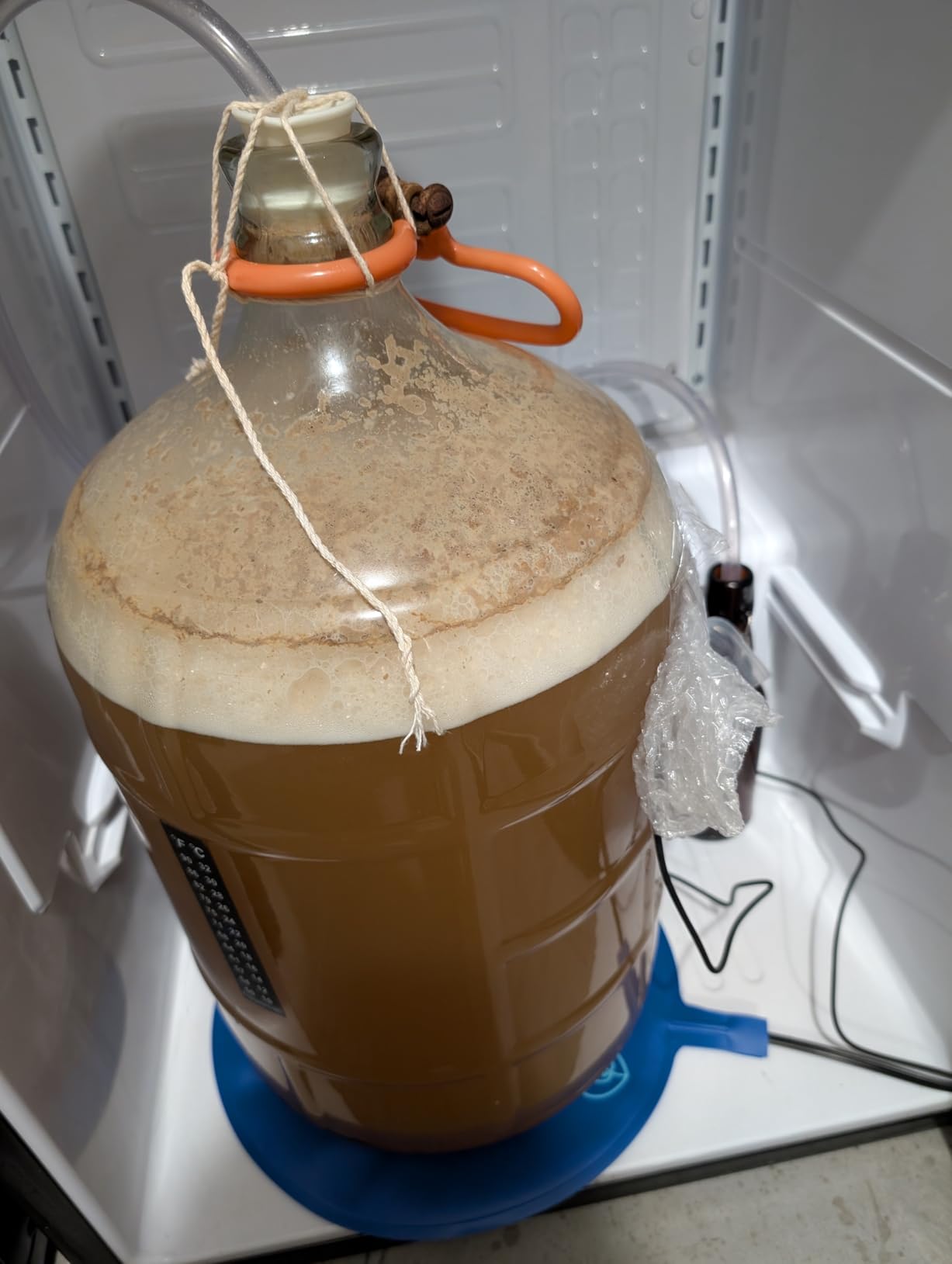 Brewing & Fermentation Heat Pad - 10