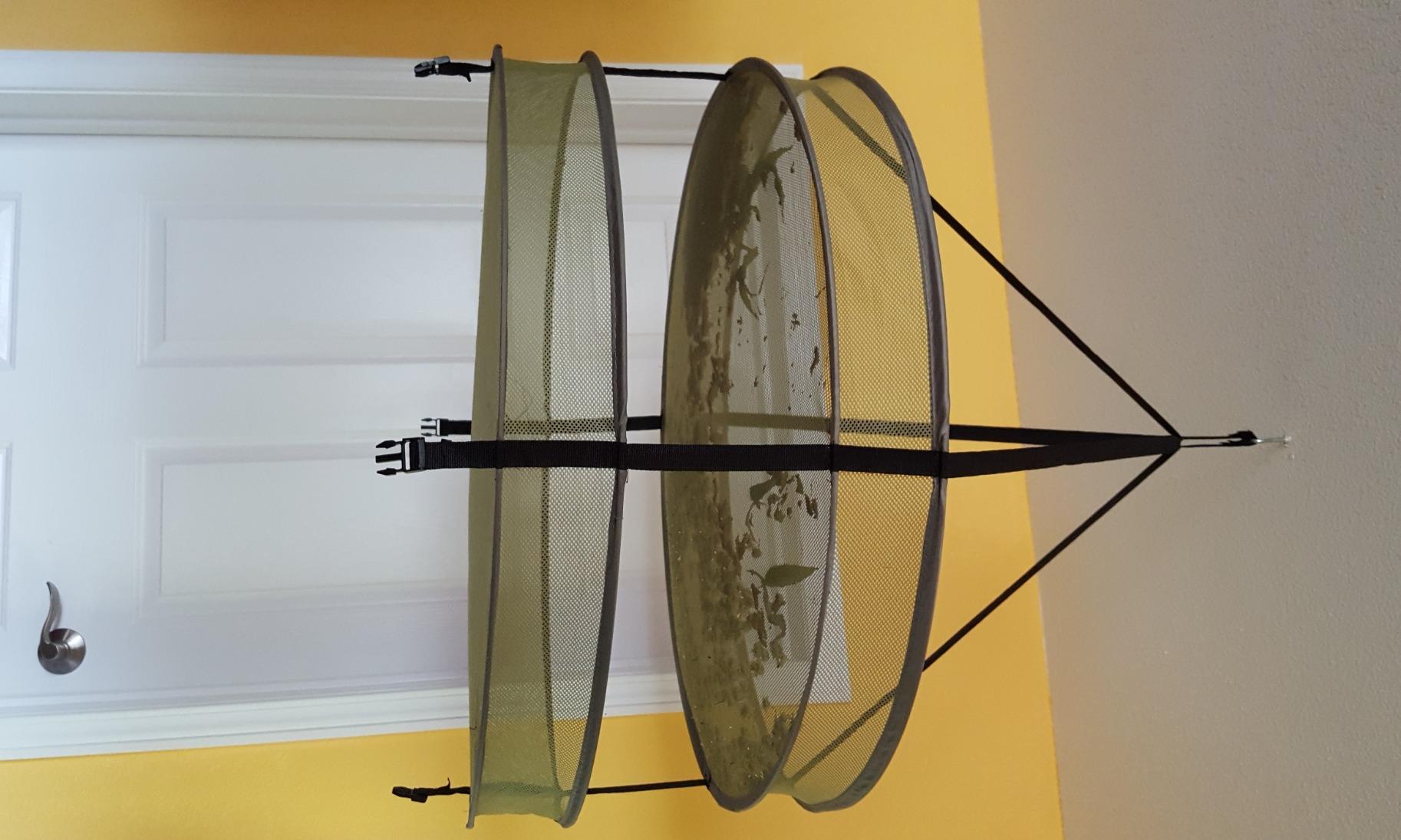 HORTIPOTS Herb Drying Rack 3 ft Hanging Dry Net 36 Inch for Curing Hydroponic Herb Vegetable Fruit Flower customer photo 1