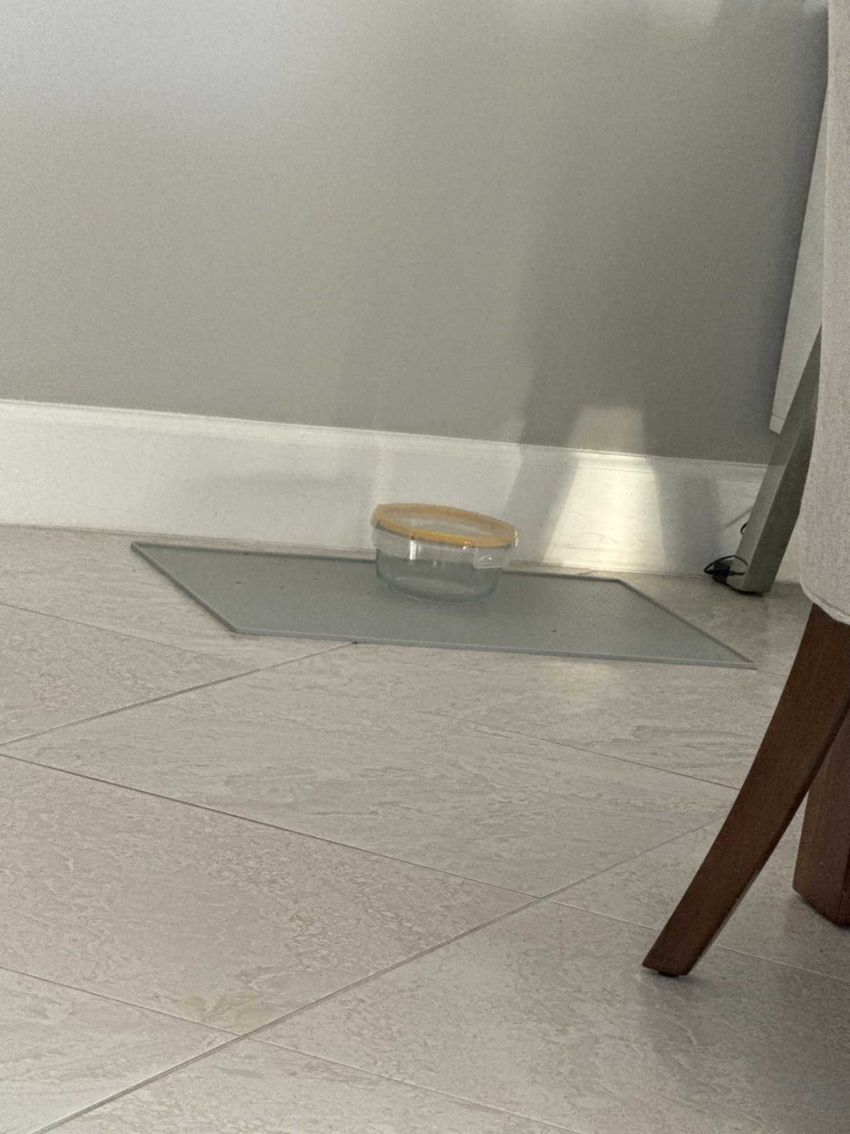 GORILLA GRIP 100% Waterproof Raised Edge BPA Free Silicone Pet Feeding Mat, Dog Cat Food Mats Contain Spills Protects Floors, Placemats for Cats and Dogs Water Bowl, Pets Accessories 18.5x11.5 Gray customer photo 1