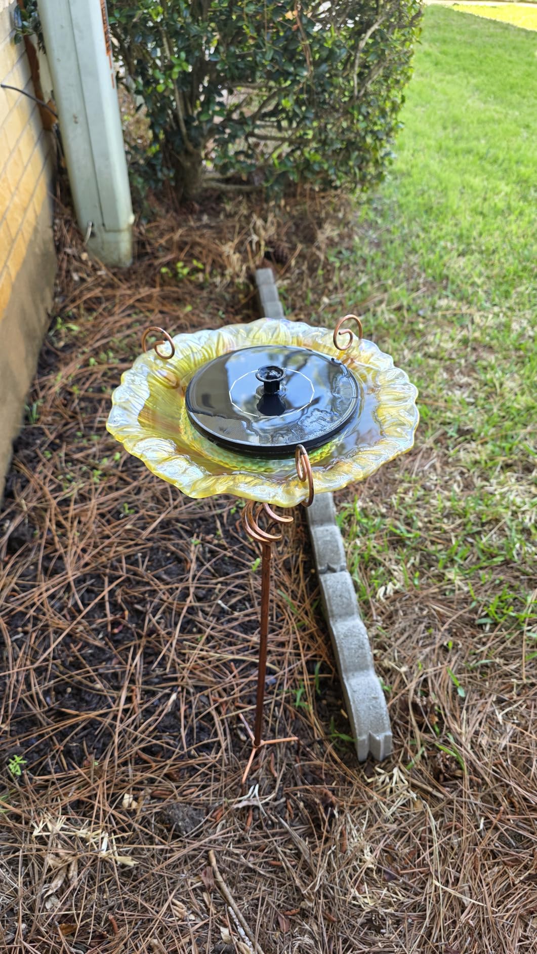Mademax Solar Bird Bath Fountains, Upgrade 1.4W Solar Fountain Pump with 6 Nozzles, Free Standing Floating Solar Powered Water Fountain Pump for Bird Bath, Garden, Pond, Pool, Outdoor customer photo 1