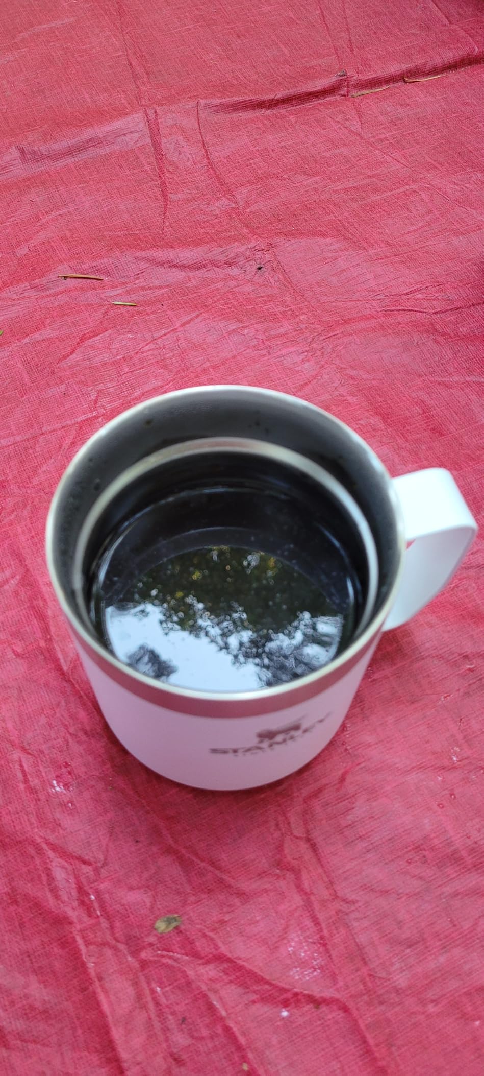 STANLEY Perfect Brew Pour Over Set | 12 oz Camp Mug with Lid Included | Drip Coffee Maker with Reusable Filter | Insulated Stainless Steel | BPA-Free | Hammertone Green customer photo 2