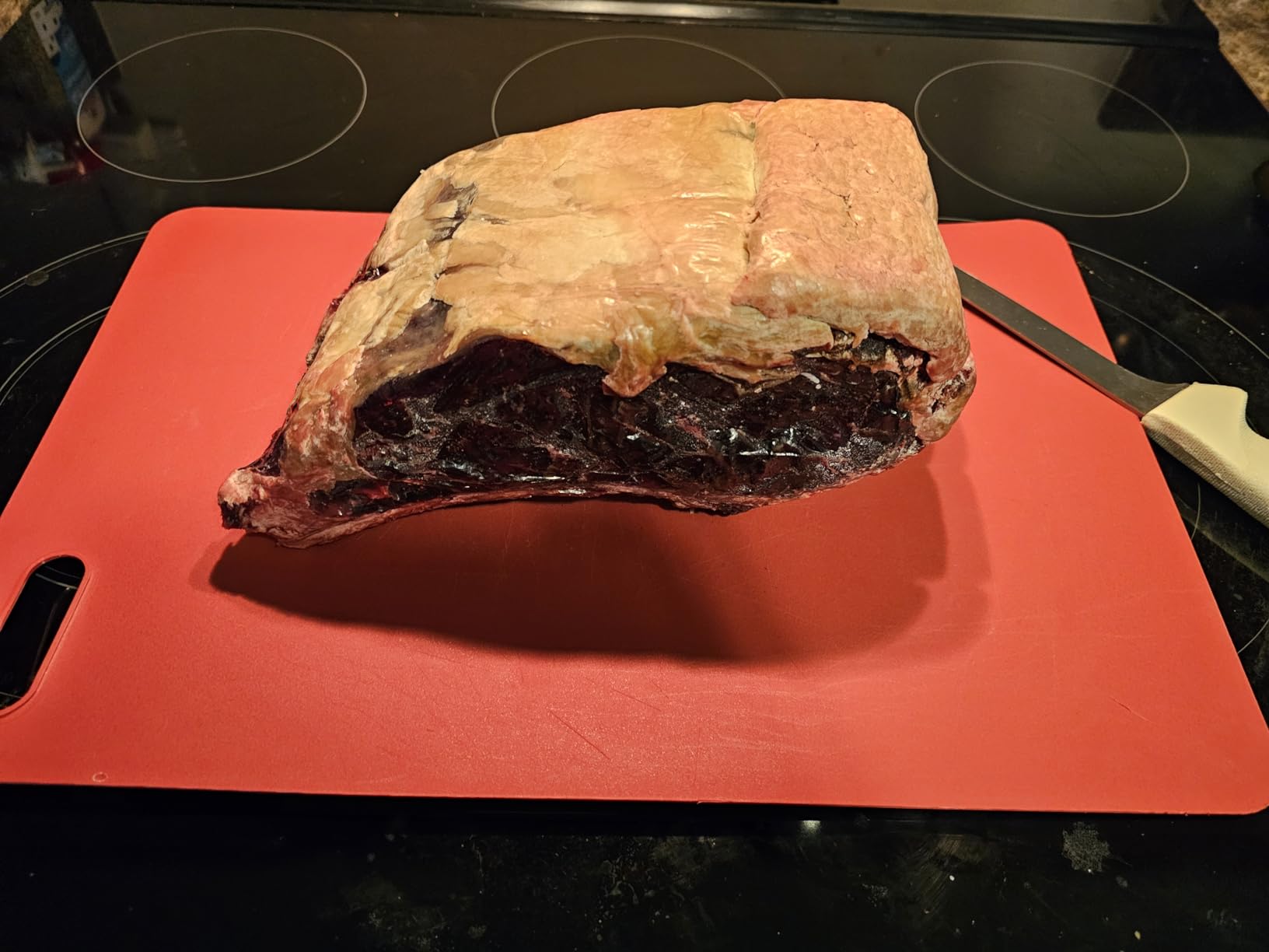 Artisan Meat LAB Dry Age Bags for Meat, Ribeye, Beef Steak, Sirloin, Brisket, BBQ - Aging at Home Made Easy - 3 Pack 12x24in customer photo 2