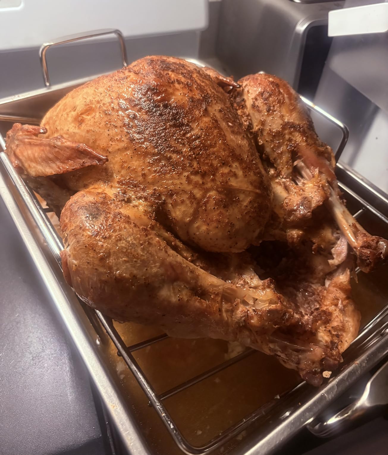 E-far Roasting Pan, 16 x 11.5 Inch Stainless Steel Turkey Roaster with V-shaped & Flat Rack customer photo 2