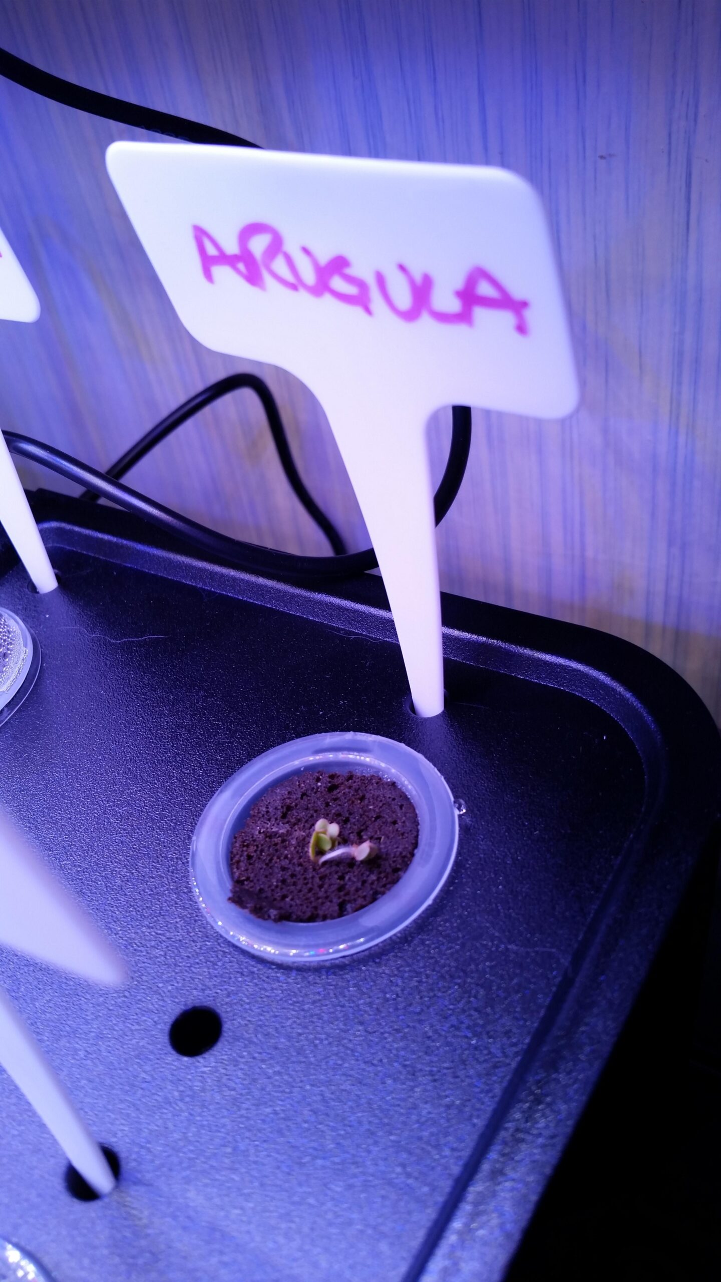 iDOO Hydroponics Growing System Kit 12Pods, Indoor Herb Garden System, with LED Grow Light, Built-in Fan, Auto-Timer customer photo 2